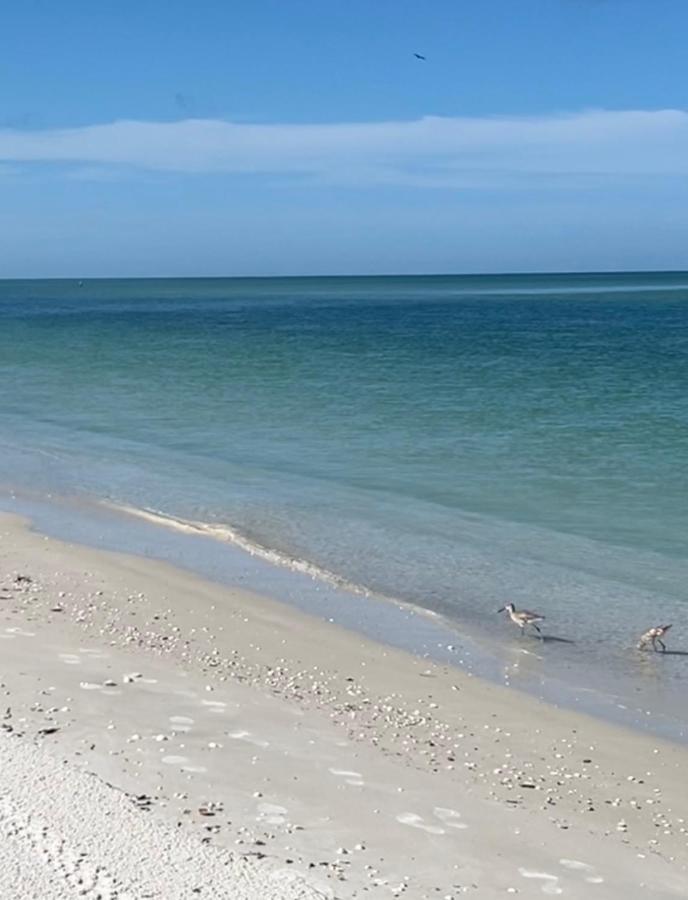 Lover'S Key Beach Club By Check-In Vacation Rentals Fort Myers Beach Luaran gambar